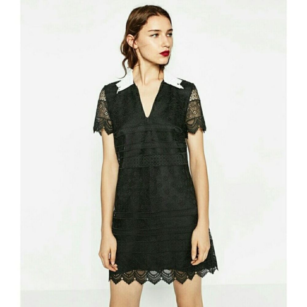 NWT Zara Short Lace Dress X-Small